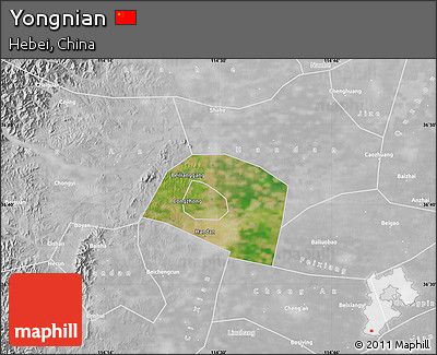 Satellite Map of Yongnian, lighten, desaturated