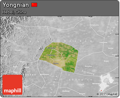 Satellite Map of Yongnian, lighten, desaturated