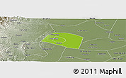 Physical Panoramic Map of Yongnian, semi-desaturated