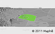 Political Panoramic Map of Yongnian, desaturated