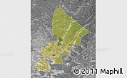 Satellite Map of Anda, desaturated