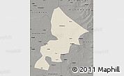 Shaded Relief Map of Anda, darken, semi-desaturated