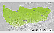 Physical 3D Map of Bin Xian, lighten, desaturated