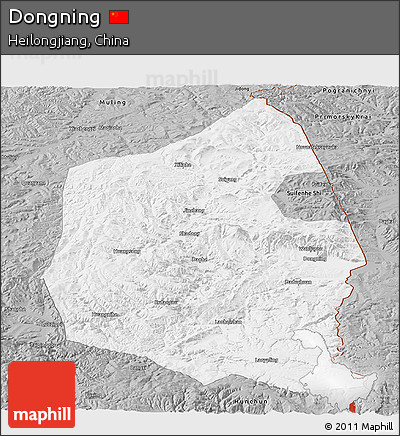 Gray Panoramic Map of Dongning