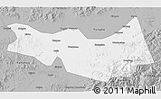 Gray 3D Map of Fangzheng
