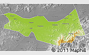 Physical 3D Map of Fangzheng, desaturated