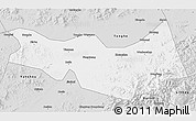 Silver Style 3D Map of Fangzheng