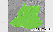 Political Map of Fuyu, desaturated