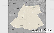 Shaded Relief Map of Fuyu, darken, desaturated