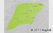 Physical 3D Map of Hailun, lighten, desaturated