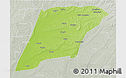 Physical 3D Map of Hailun, lighten, semi-desaturated