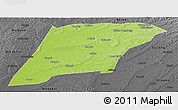 Physical Panoramic Map of Hailun, darken, desaturated
