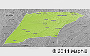 Physical Panoramic Map of Hailun, desaturated