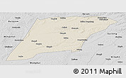 Shaded Relief Panoramic Map of Hailun, desaturated