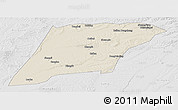 Shaded Relief Panoramic Map of Hailun, lighten, desaturated