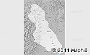 Gray 3D Map of Hegang Shi