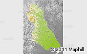 Physical 3D Map of Hegang Shi, desaturated