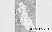 Gray Map of Hegang Shi