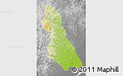 Physical Map of Hegang Shi, desaturated