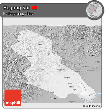 Gray Panoramic Map of Hegang Shi