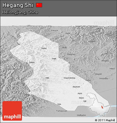 Gray Panoramic Map of Hegang Shi
