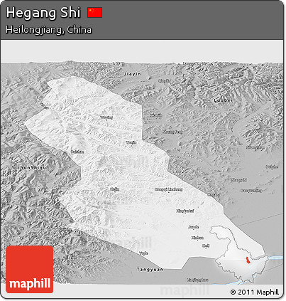 Gray Panoramic Map of Hegang Shi