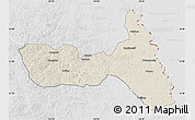 Shaded Relief Map of Huma, lighten, desaturated