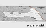 Gray Panoramic Map of Huma