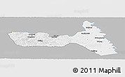 Gray Panoramic Map of Huma, single color outside