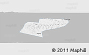 Gray Panoramic Map of Jiamusi Shi, single color outside