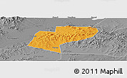 Political Panoramic Map of Jiamusi Shi, desaturated