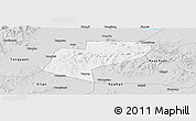 Silver Style Panoramic Map of Jiamusi Shi