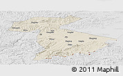 Shaded Relief Panoramic Map of Jidong, lighten, desaturated