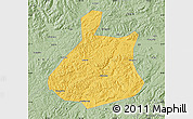 Savanna Style Map of Jixi Shi
