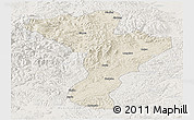 Shaded Relief Panoramic Map of Linkou, lighten