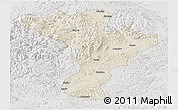 Shaded Relief Panoramic Map of Linkou, lighten, semi-desaturated