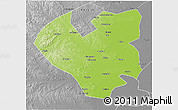 Physical 3D Map of Longjiang, desaturated