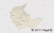 Shaded Relief 3D Map of Luobei, cropped outside