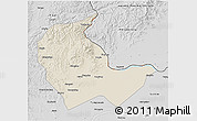 Shaded Relief 3D Map of Luobei, desaturated