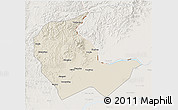 Shaded Relief 3D Map of Luobei, lighten