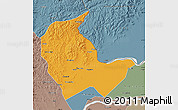 Political Map of Luobei, semi-desaturated