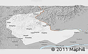 Gray Panoramic Map of Luobei