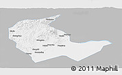 Gray Panoramic Map of Luobei, single color outside