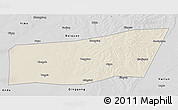 Shaded Relief 3D Map of Mingshui, desaturated