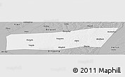 Gray Panoramic Map of Mingshui