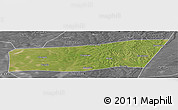 Satellite Panoramic Map of Mingshui, desaturated