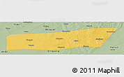 Savanna Style Panoramic Map of Mingshui