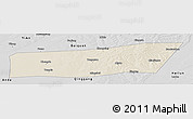 Shaded Relief Panoramic Map of Mingshui, desaturated