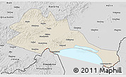 Shaded Relief 3D Map of Mishan, desaturated