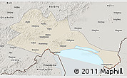 Shaded Relief 3D Map of Mishan, semi-desaturated